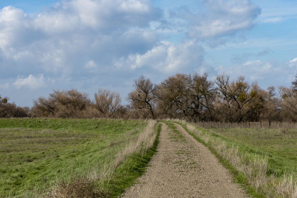 Great Valley Grasslands SP Gallery Image